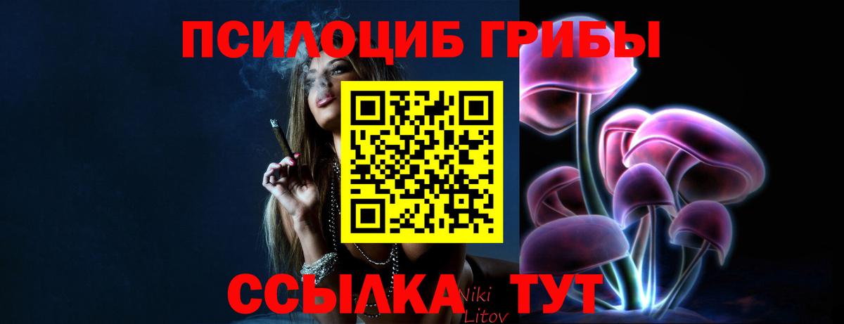 Нарткала  Псилоцибиновые грибы Cubensis  Вход с VPN 